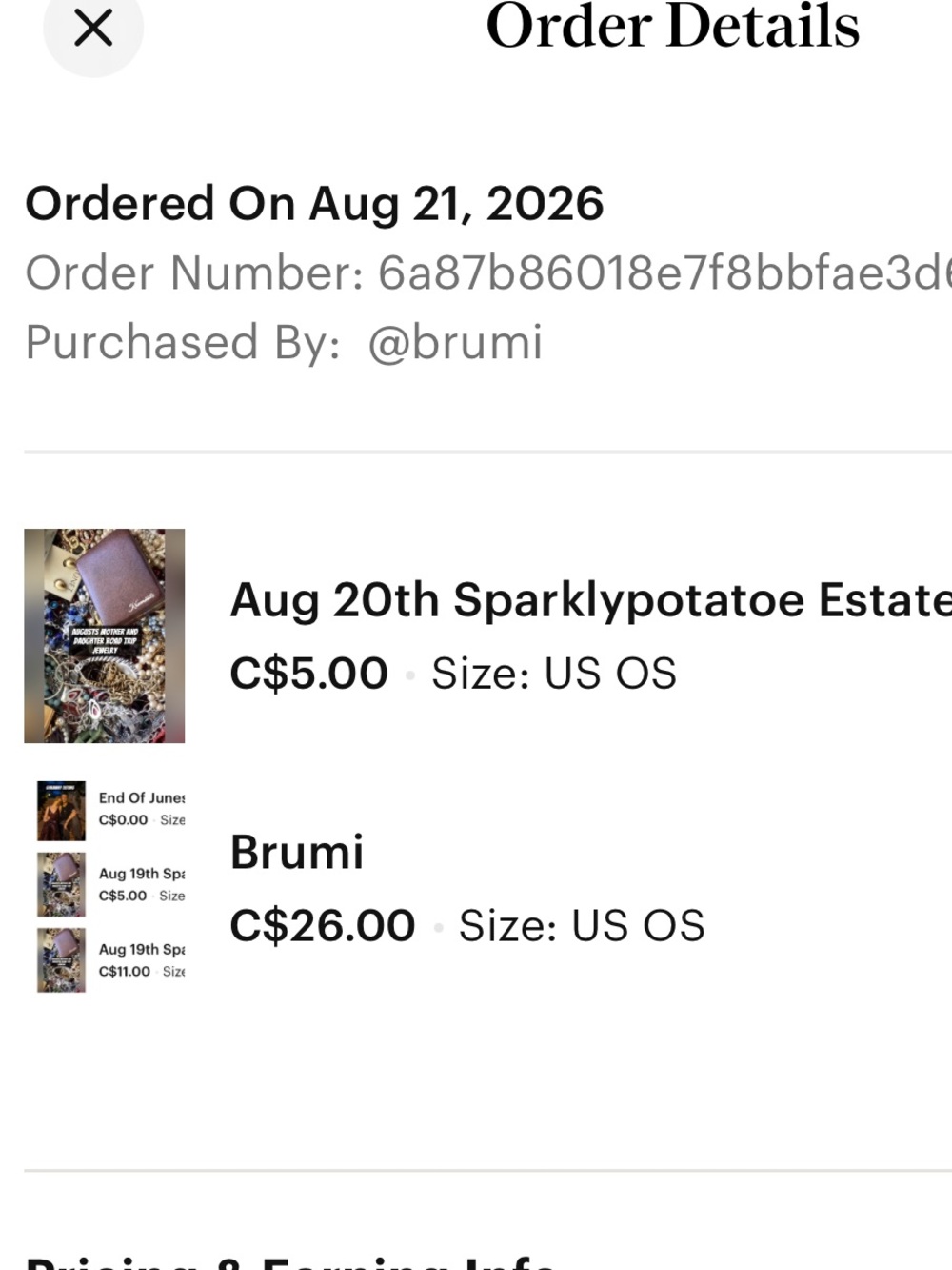 Brumi